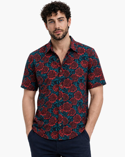 Cocktail Collar - Waratah Lush